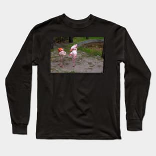 Pink and red flamingo Long Sleeve T-Shirt